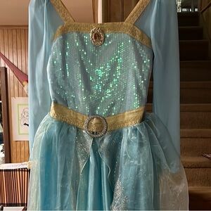 Disney Aqua and Gold Princess Costume-Brave